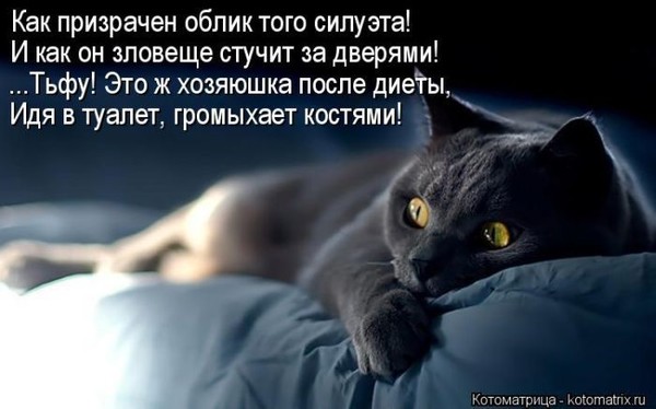 4743317_i17302 (600x374, 47Kb)