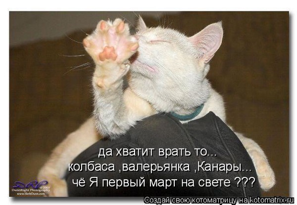 4743317_i5111 (600x415, 62Kb)