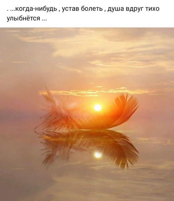 7dff948a0e129fec1dc7e36ad3ac569e (606x700, 37Kb)
