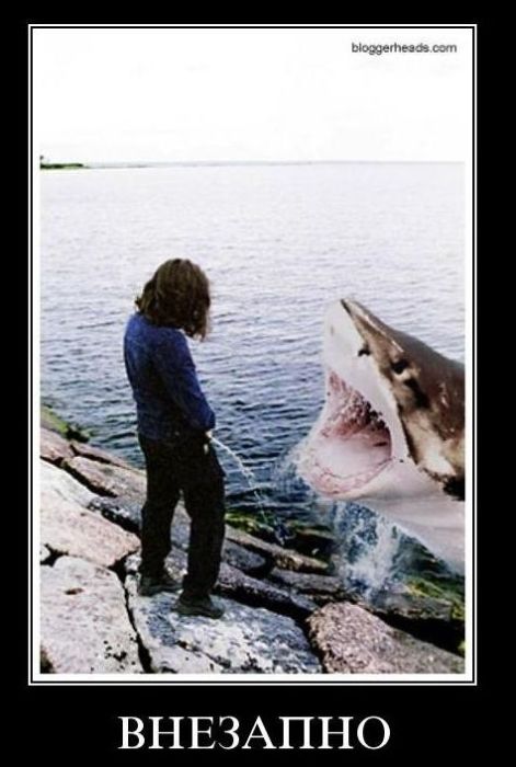 4743317_demotivatiry_36 (471x700, 57Kb)