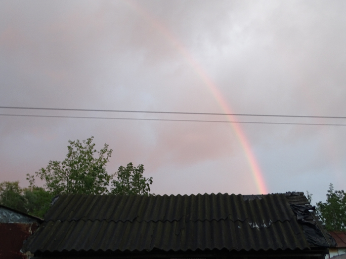 DSC00050 (700x525, 247Kb)