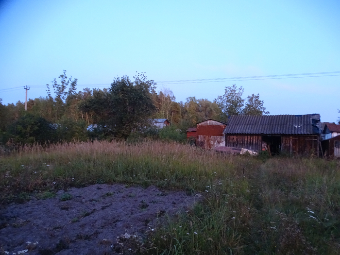 DSC00021 (700x525, 373Kb)