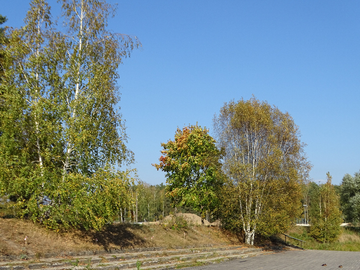 DSC00093 (700x525, 546Kb)