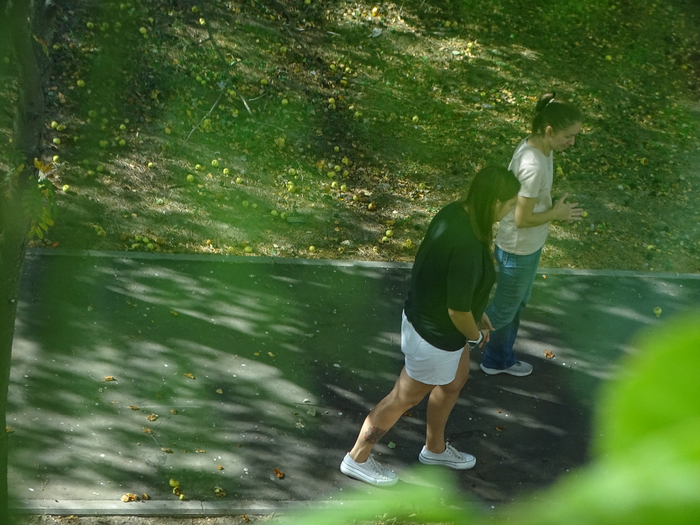 DSC00098 (700x525, 418Kb)