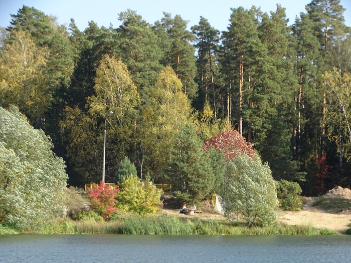 DSC00106 (700x525, 539Kb)