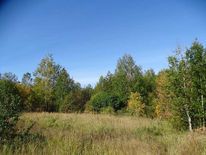 DSC00021 (700x525, 480Kb)