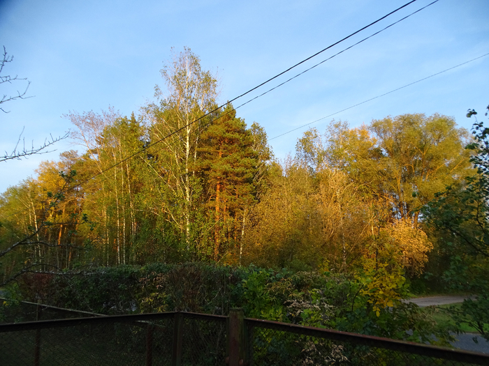 DSC00029 (700x525, 511Kb)