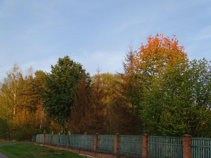 DSC00031 (700x525, 452Kb)