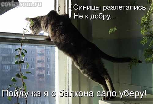 4743317_i21285 (500x339, 29Kb)