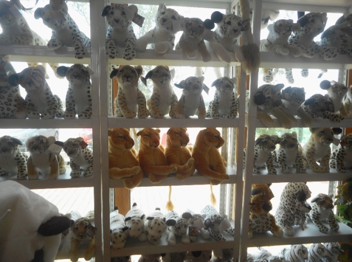 4752699_DSCN0751a (700x521, 113Kb)