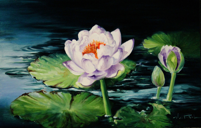 Waterlily-Movement-Arleta-Pech-scaled (700x447, 371Kb)