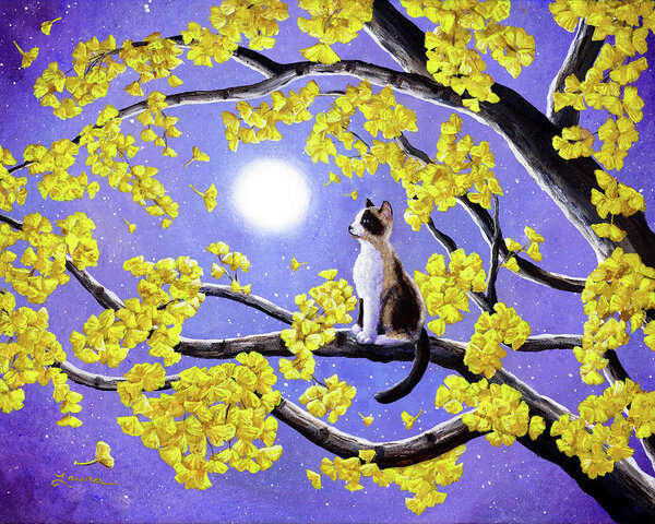snowshoe-siamese-kitten-in-gingko-leaves-laura-iverson (600x480, 349Kb)