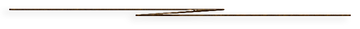 0-0-1 (700x58, 14Kb)