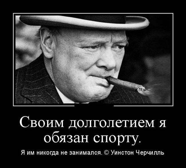 4743317_1441862292_01 (650x586, 40Kb)