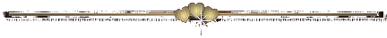 R (4) (432x43, 10Kb)