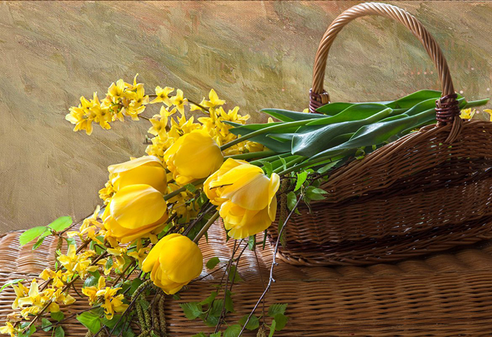 5203259_1689077742_vsegdapomnimcompvesenniinatyurmortfoto28 (700x479, 389Kb)