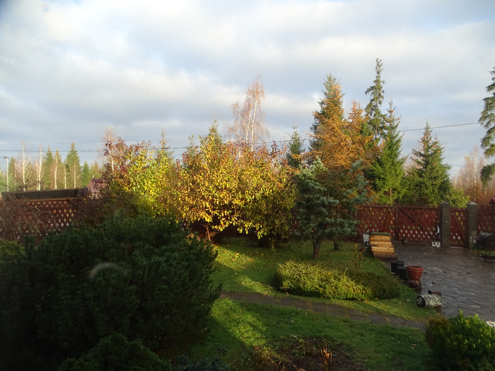DSC00015 (700x525, 422Kb)