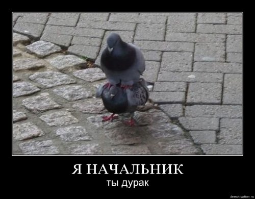 4743317_1251281067_107 (500x390, 36Kb)