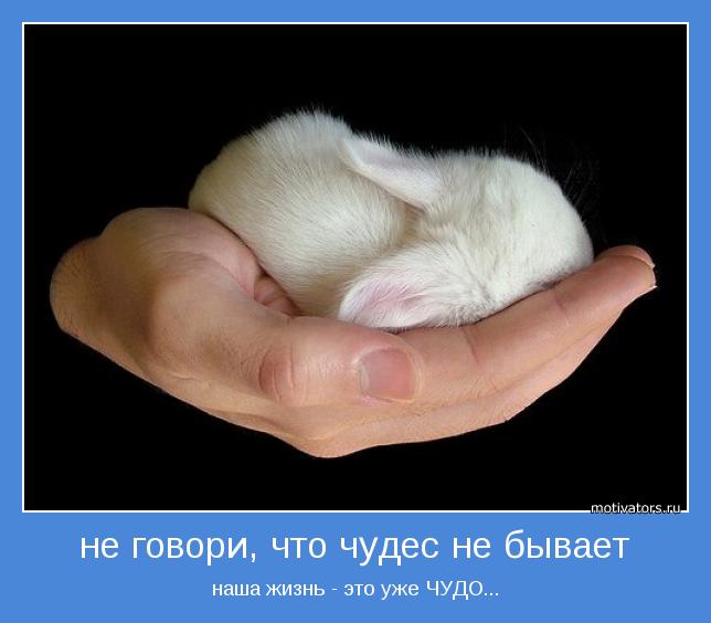 4743317_motivator2106 (644x564, 33Kb)