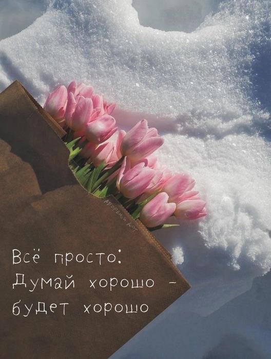 IMG_20250205_035737 (528x700, 48Kb)