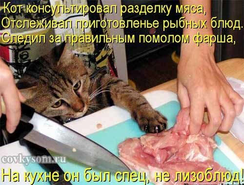 4743317_i20930 (500x379, 50Kb)