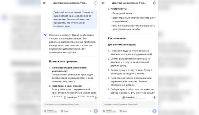 3085196_Screenshot_20250206_at_124418_5_klassnih_idei_kak_ispolzovat_DeepSeek_chtobi_oblegchit_sebe_jizn__HiNews_ru (700x405, 190Kb)