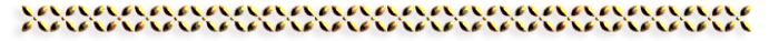 -11-3 (700x37, 46Kb)