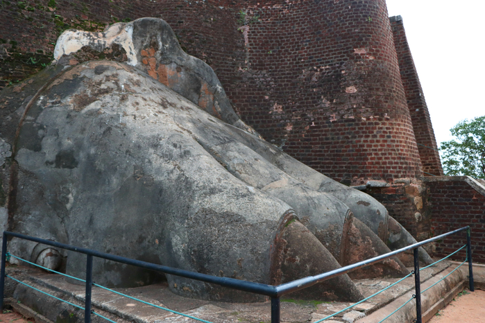 IMG_1732 (700x466, 437Kb)