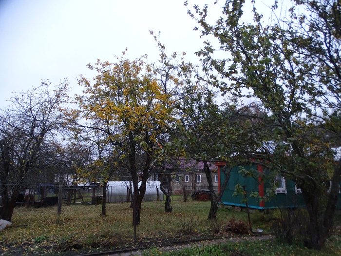 DSC00005 (700x525, 518Kb)