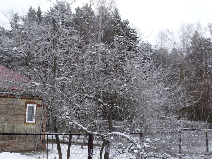 DSC00054 (700x525, 485Kb)