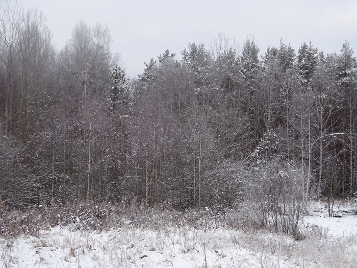 DSC00058 (700x525, 417Kb)