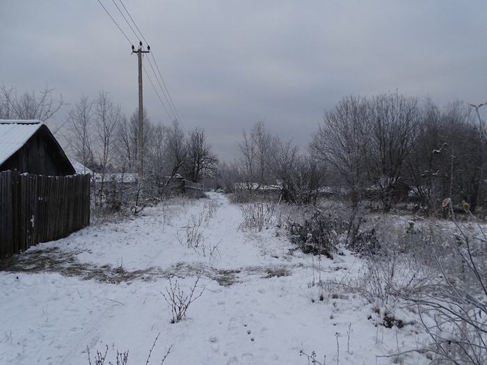 DSC00062 (700x525, 339Kb)