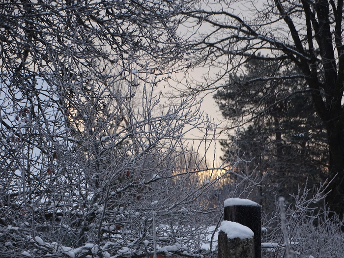 DSC00067 (700x525, 550Kb)