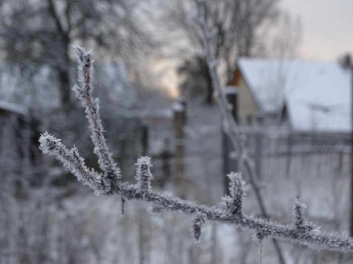 DSC00068 (700x525, 286Kb)