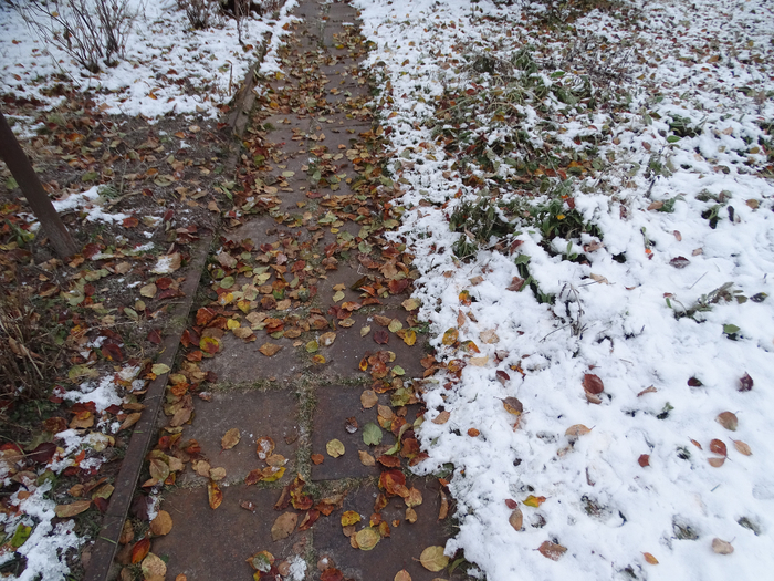 DSC00072 (700x525, 553Kb)