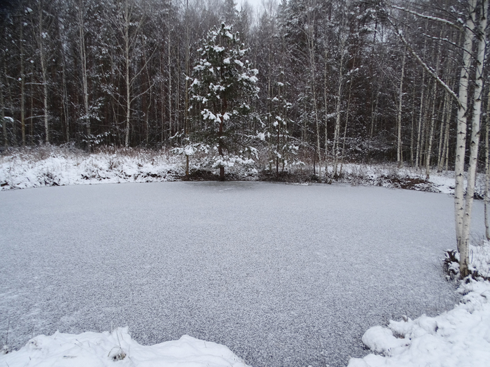 DSC00080 (700x525, 436Kb)