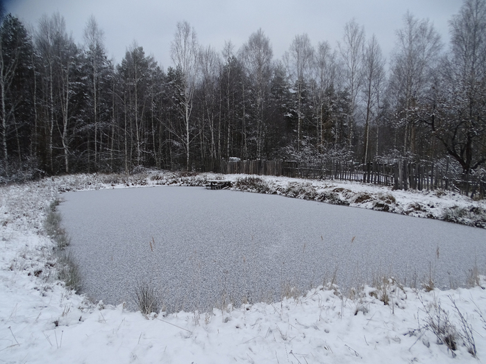 DSC00089 (700x525, 375Kb)