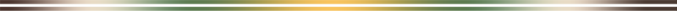  -2 (700x11, 0Kb)