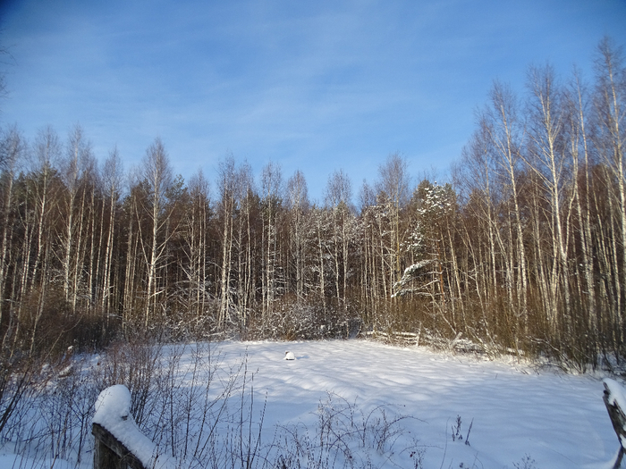 DSC00049 (700x525, 442Kb)