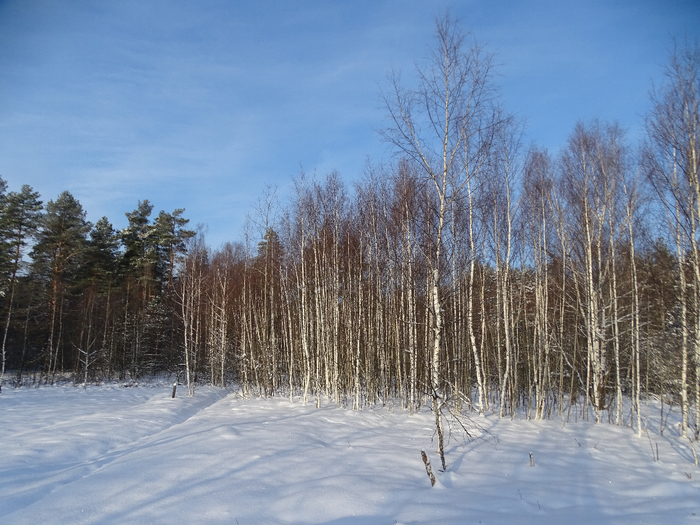 DSC00056 (700x525, 433Kb)