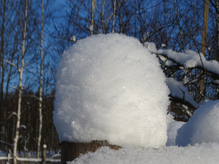 DSC00059 (700x525, 368Kb)