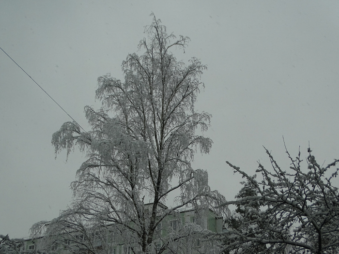 DSC00065 (700x525, 337Kb)