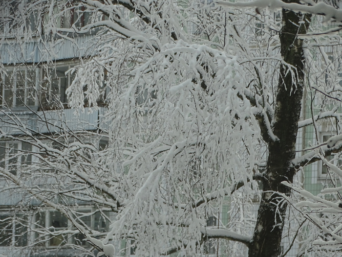 DSC00078 (700x525, 449Kb)