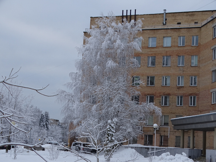 DSC00096 (700x525, 393Kb)