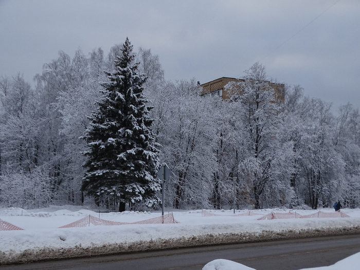 DSC00102 (700x525, 381Kb)