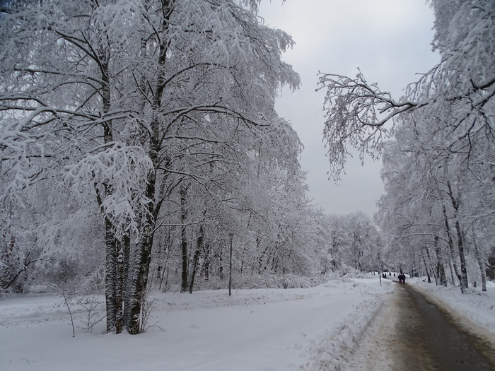 DSC00115 (700x525, 408Kb)