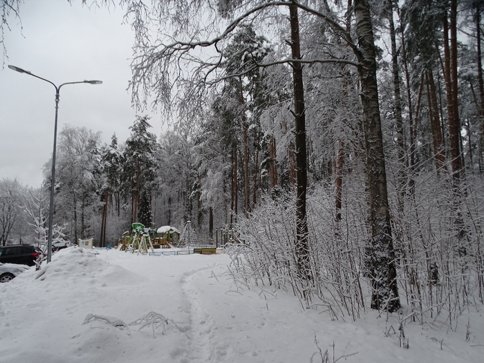 DSC00134 (700x525, 428Kb)