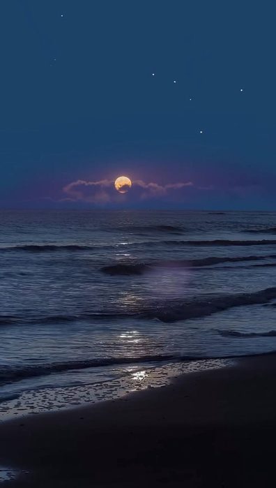 IMG_20250208_093927 (396x700, 25Kb)