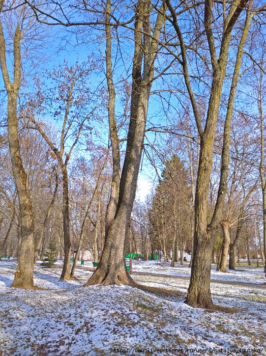 IMG_20250207_123620_1 (523x700, 552Kb)