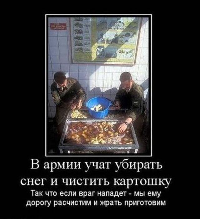 4743317_demotivatiry_12 (641x700, 63Kb)